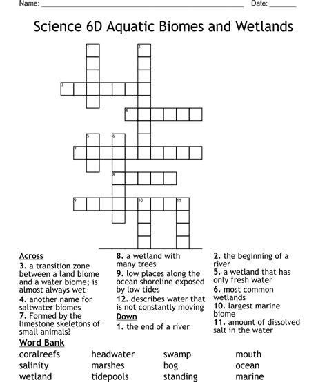 wetland crossword